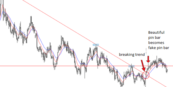 trend pinbar1